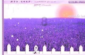 海滩度假胜地逃脱